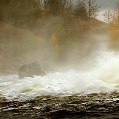 фото "Elements on the river Ros"