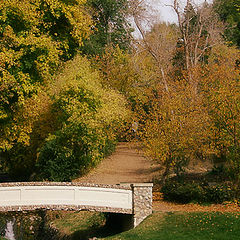 photo "Fall In The Park."