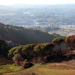 photo "Down hill"