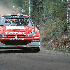 photo "WRC"