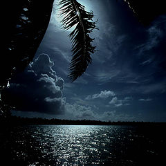 photo "tahiti full moon"