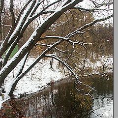 photo "First snow"