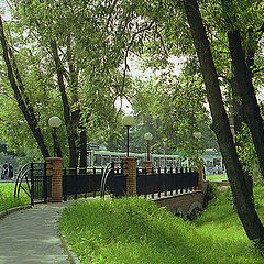 photo "Landscape with the bridge on a background of city"