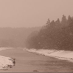 photo "Steps of winter"