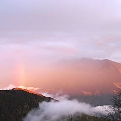 photo "PM after rain"