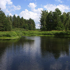 фото "Летний пейзаж"