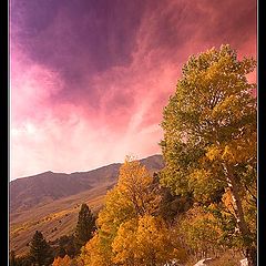 фото "A Road in the Sierras"