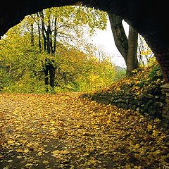 photo "exit in an autumn"