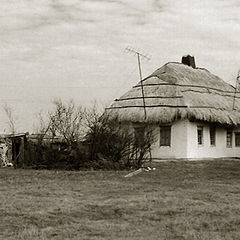 фото "Лики современного села...-2"