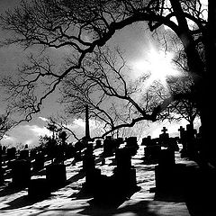 фото "Cemetery"