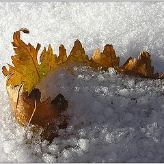 фото "Смена сезона"