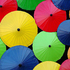 photo "Colors of umbrellas"