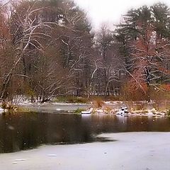 фото "Первый снег"