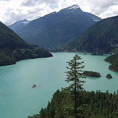 photo "Emerald Drink"