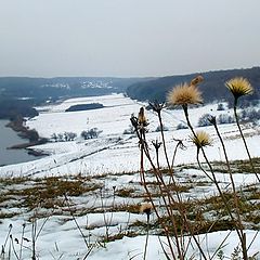 photo "To us to a fluffy frost is not terrible."