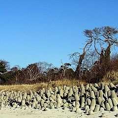 photo "The pictures of the beach ..."