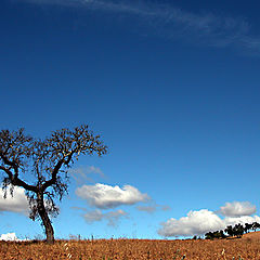 photo "Alentejo"