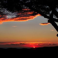 photo "tramonto"