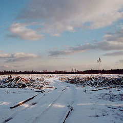 photo "Road in future"