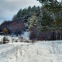 фото "Снежная спокойная."