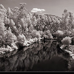 photo "Lagoon"