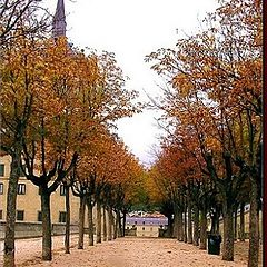 photo "Walking through Autumn"