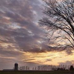 photo "Tree, Silo at Sunset"