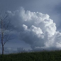 photo "&#220;ber die Wolke und der tote Baum"