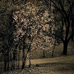 photo "Autumn garden."