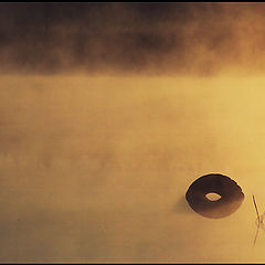 photo "Pupil of the Pond"