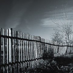 photo "Fence"