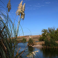 фото "natural beauty"