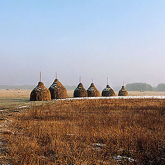 фото "Time of winter on meadows"