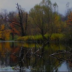 фото "Печально-красивая осень"