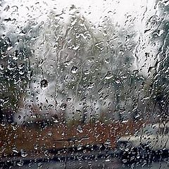 photo "Rain. A sight from within (2)"