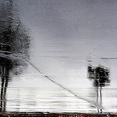 photo "Rain abstracts... (1)"