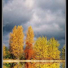 фото "Осеннее полноводие"