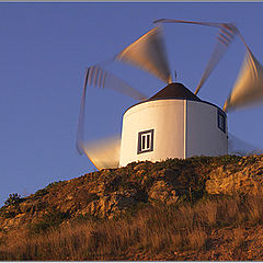 фото "Wind mill"