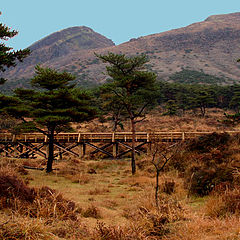 фото "Wooden Bridge"