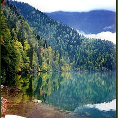 photo "The Ritza Lake (Abkhazia)"