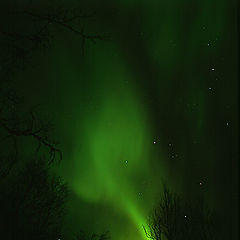 photo "Aurora borealis"