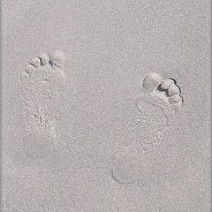 photo "My foots"