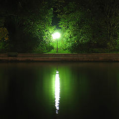 фото "In The Night"