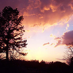 photo "Ethereal Evening"