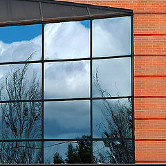 фото "Window for nature"