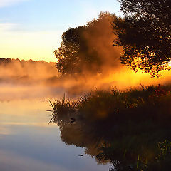 photo "Fog at a dawn"