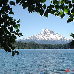 photo "Mount Hood."