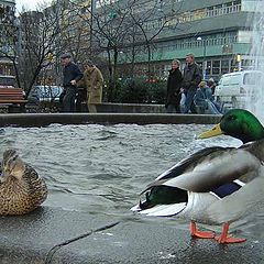 photo "Family conversation"