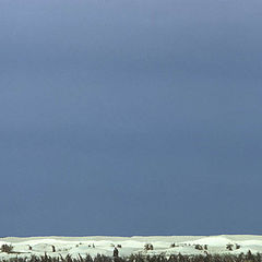 photo "pioneers in the sahara"