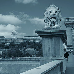 фото "Прогулки по Будапешту (Цепной мост)"